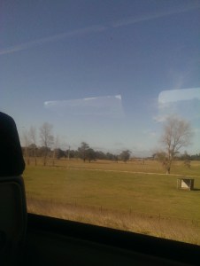 Schlerophyll forest and mproved pasture