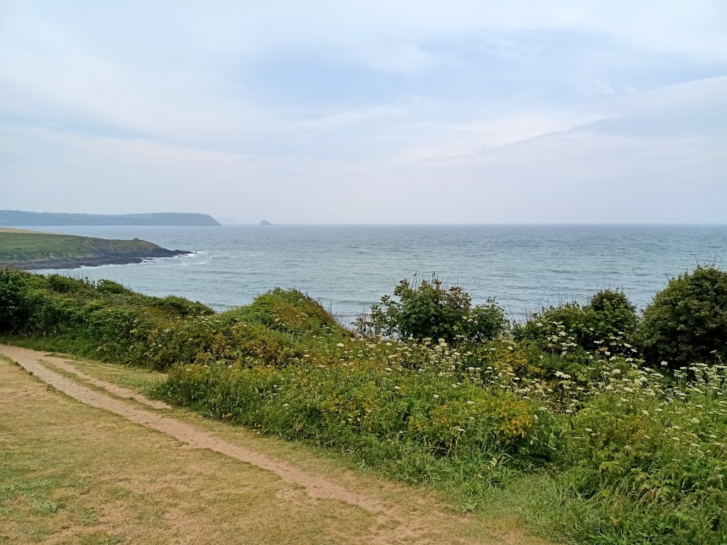 The Salt Path: ‘We could walk slowly, put one foot in front of the other’